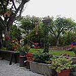In New Cagli, family life is extended outside of the home into backyard gardens and patios