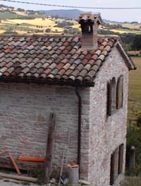 A view of the side of the house