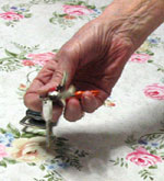 “I never feel uncomfortable giving out my keys,” Signora Sandelli claims.