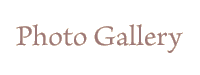 photo gallery