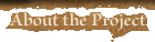 About the Project