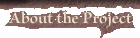 About the Project