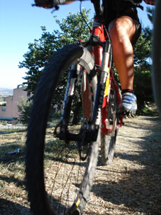 Bike Ride