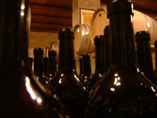 bottles