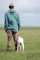 Man and dog