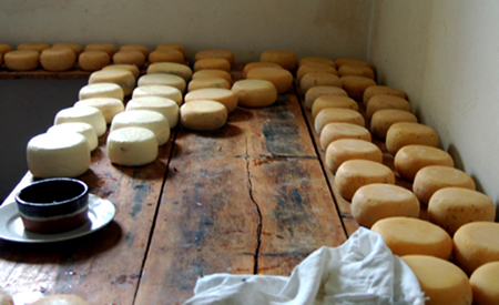 finished cheese