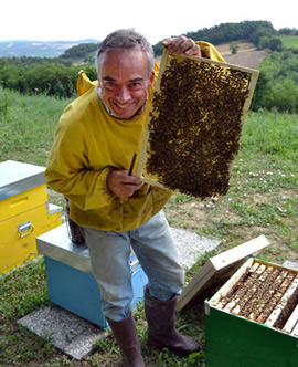 Fausto checks the hive and is pleased with the productivity.