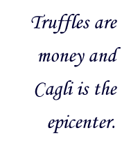 Truffles are money and Cagli is the epicenter.