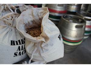 Hilden grains