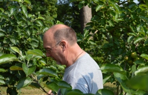 Philip Troughton in his 80 acres of apple orchard in Portadown.
