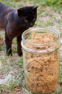 Several cats roam freely around Valle Nuova, where they camp out in front of the kitchen door in case any food comes their way. One adult cat curiously sniffed the dried Elderflower Savini always keeps on hand.