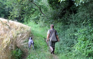 Giorgia and Chicca walk through the field in search of black summer truffles.