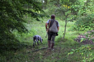 Giorgia and Chicca walk through the field in search of black summer truffles. 