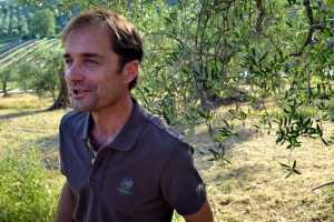 The silvery leaves of an ancient olive tree shade olive oil maker Giordano Galiardi as he shares his organic philosophy and reminisces about his evolution from cyclist to farmer.