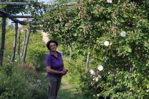 Rosetta Borchia