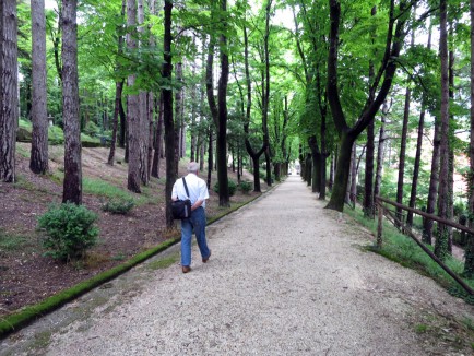Giulio walks through his favorite park in Cagli.