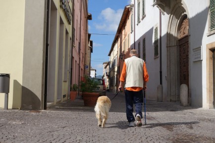 Sandro and Kira go for a walk.
