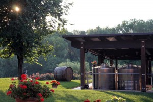 The sun shines bright on the facade of Mariotti Cesare’s oil grove and vineyard, where his oil and wine steel tanks sit in the shade in Montemaggiore Al Metauro, Italy.