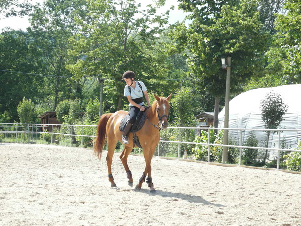 Giovanni Celli: Not Just Horsin’ Around